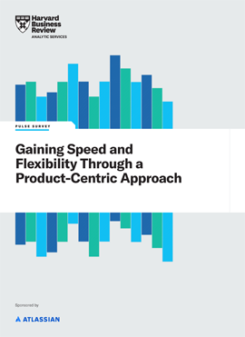 Gaining Speed and Flexibility Through a Product-Centric Approach